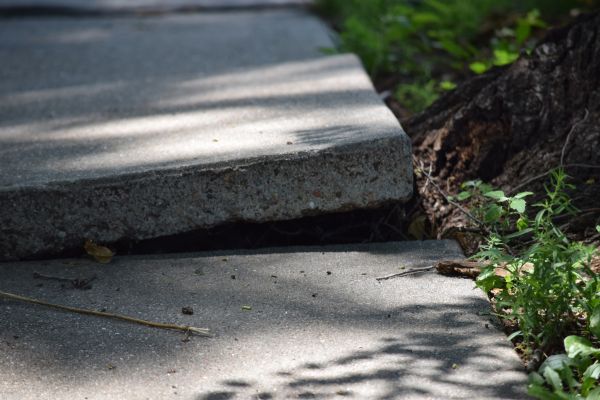 Cost of Concrete Lifting in Lewisville